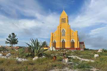 architecture_church_sint willibrordus_goats_curaçao (03).jpg